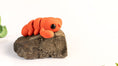 Load image into Gallery viewer, Tiny Lobster