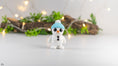 Load image into Gallery viewer, Krew3D Printables - Tiny Snowman - 3D Printed, Articulated, and Super Wiggly | 3D Printed Flexible Fidget Collectible Gift for Kids & Adults | ZOU3D