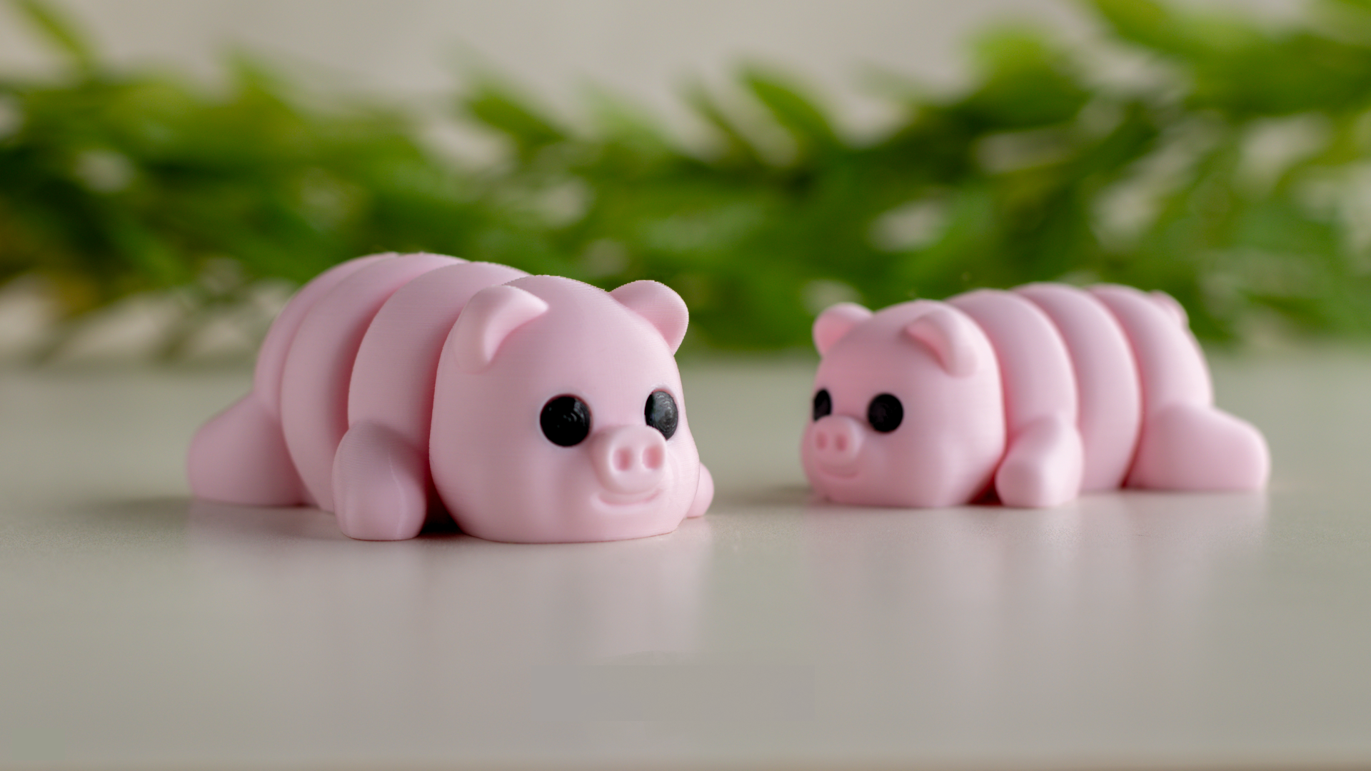 Tiny Pig