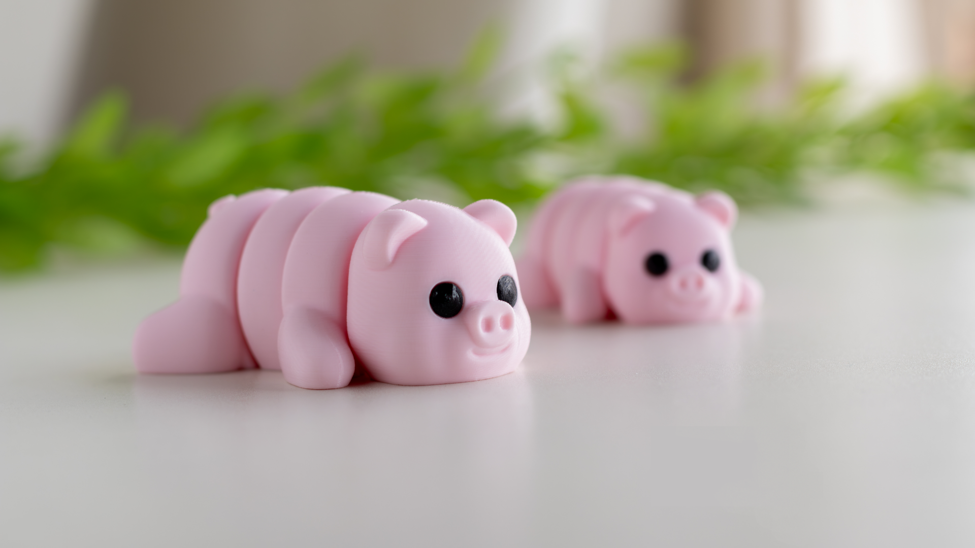 Tiny Pig