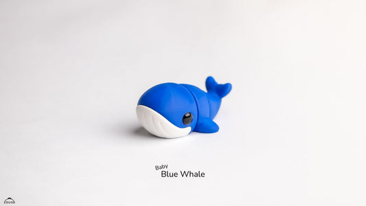 Baby Whale – The Gentle Giant in Mini Form