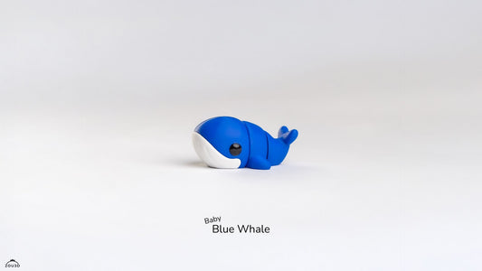 Baby Whale – The Gentle Giant in Mini Form