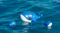 Load image into Gallery viewer, Baby Whale – The Gentle Giant in Mini Form
