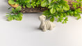 Load image into Gallery viewer, Tiny Brontosaurus Skeleton
