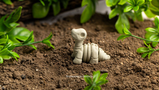 Baby Brontosaurus Skeleton – Tiny Fossil Fun!