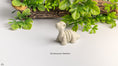 Load image into Gallery viewer, Baby Brontosaurus Skeleton – Tiny Fossil Fun!
