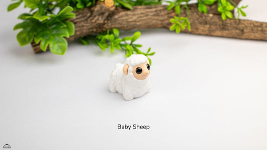 Baby Sheep – The Fluffiest Little Friend