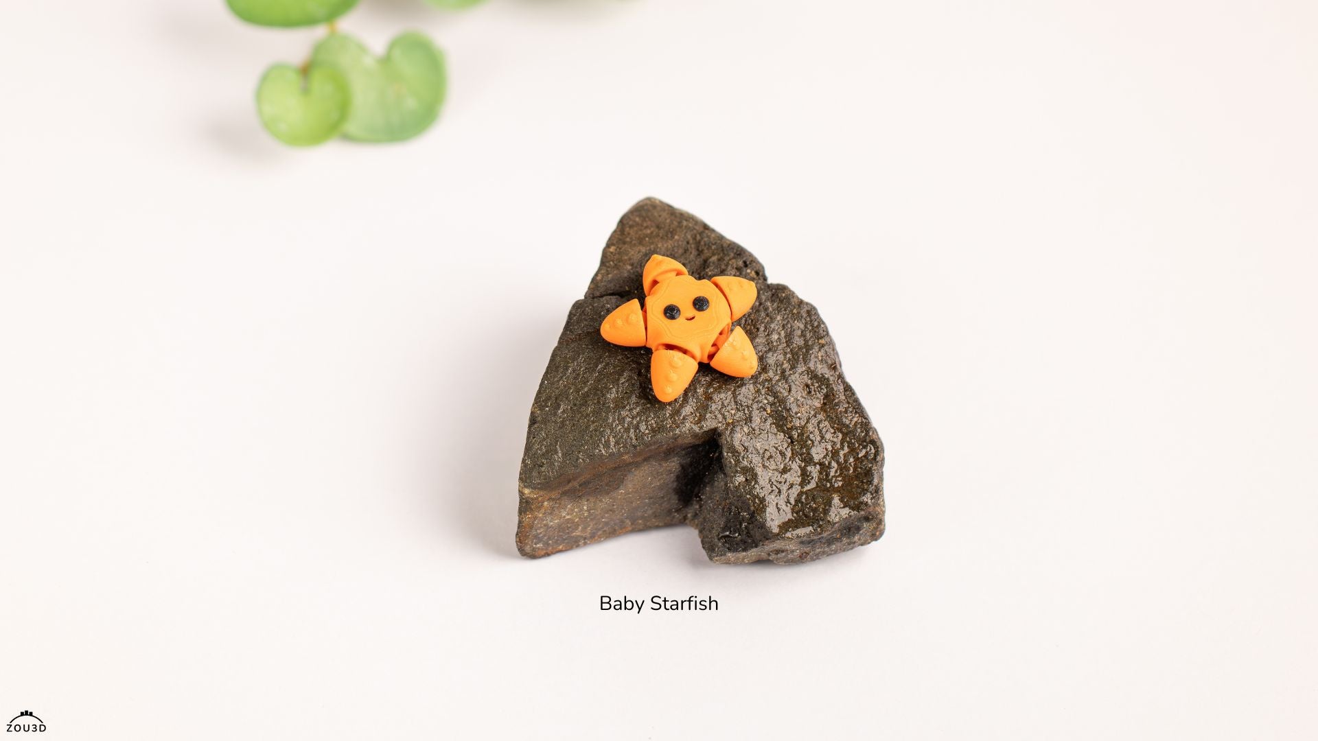 Baby Starfish – Tiny Ocean Friend