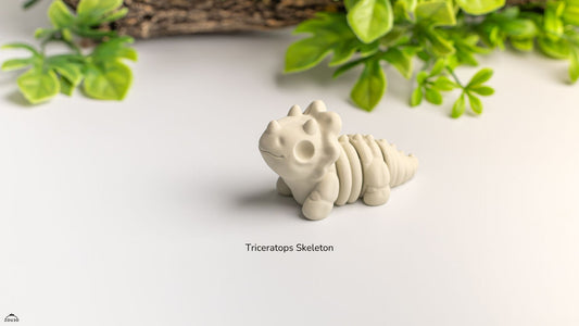 Baby Triceratops Skeleton – Mini Articulated Dino