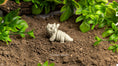 Load image into Gallery viewer, Baby Triceratops Skeleton – Mini Articulated Dino
