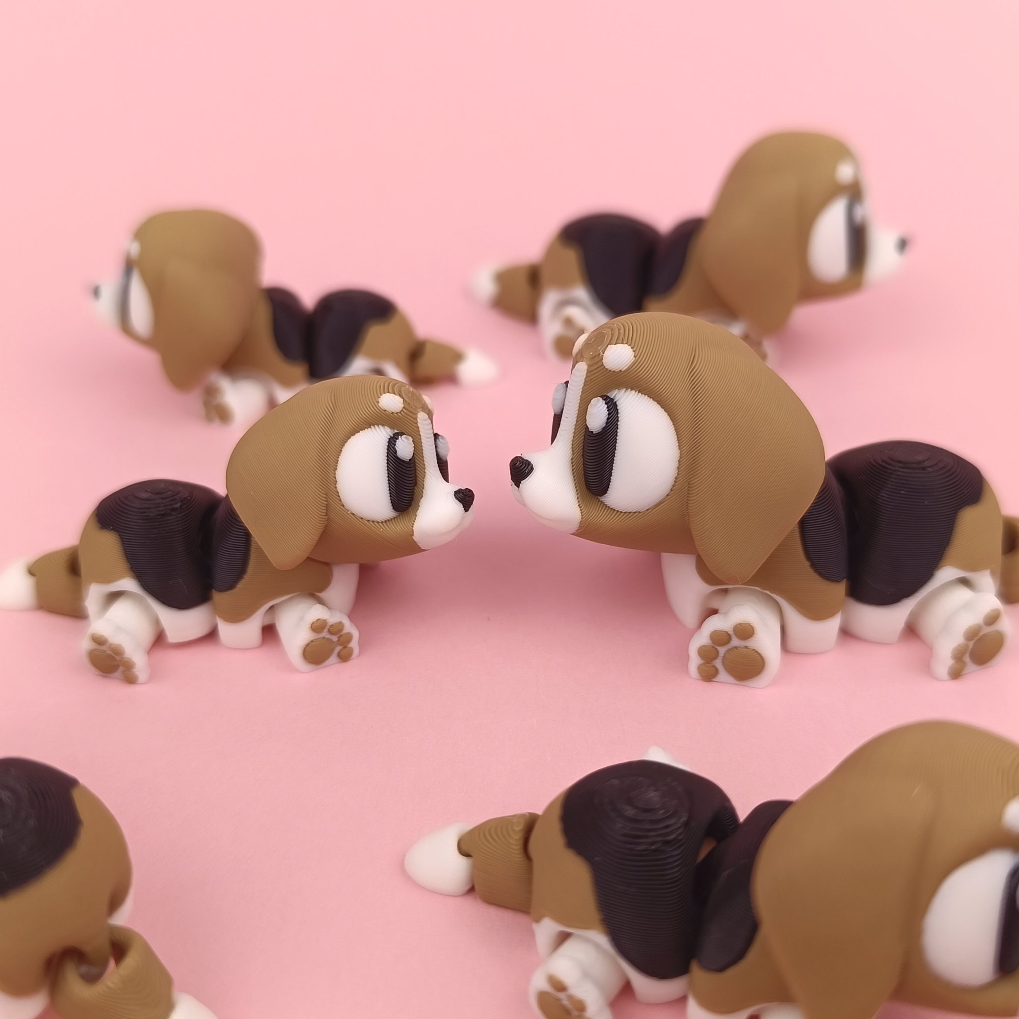 Beagle