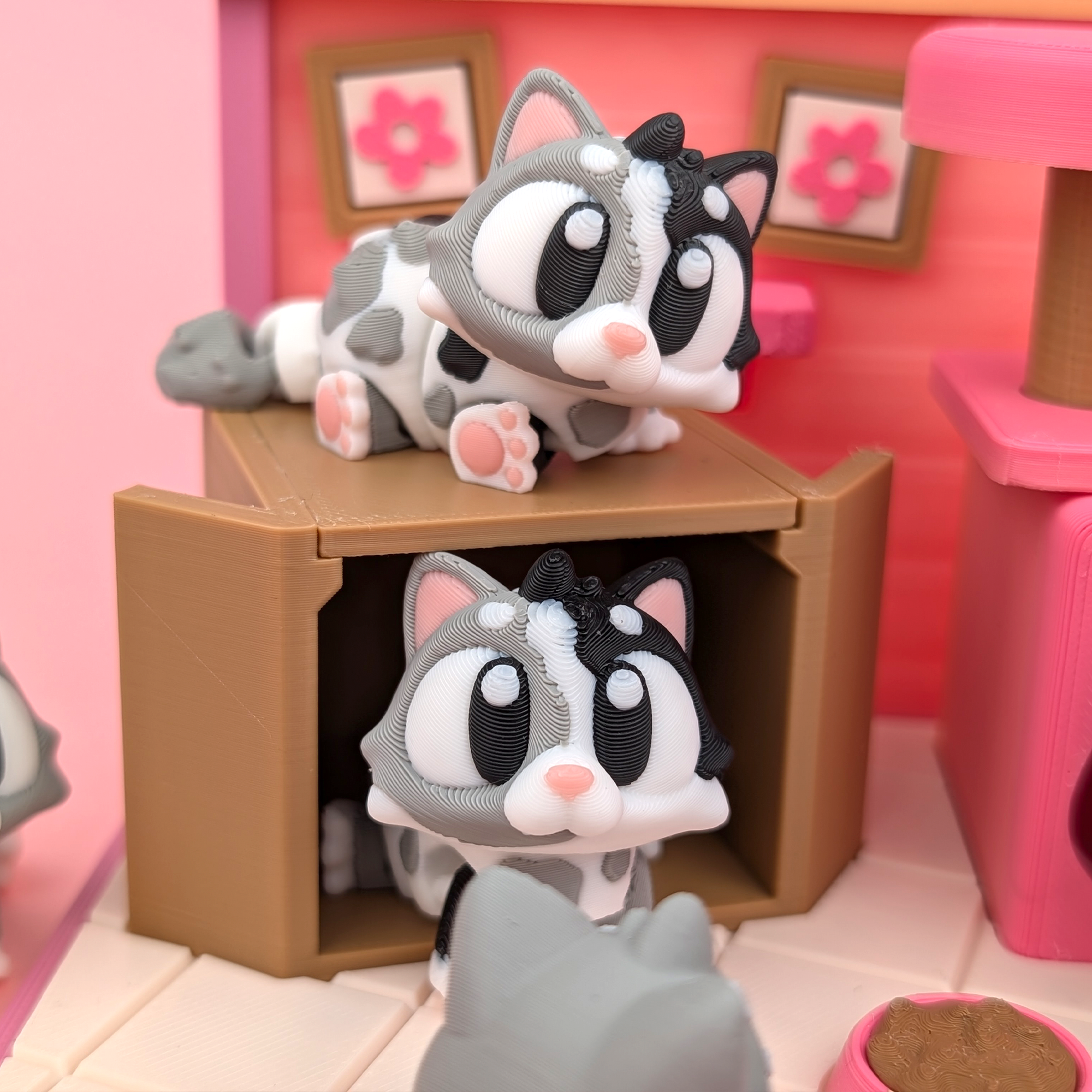 Cat and Habitat