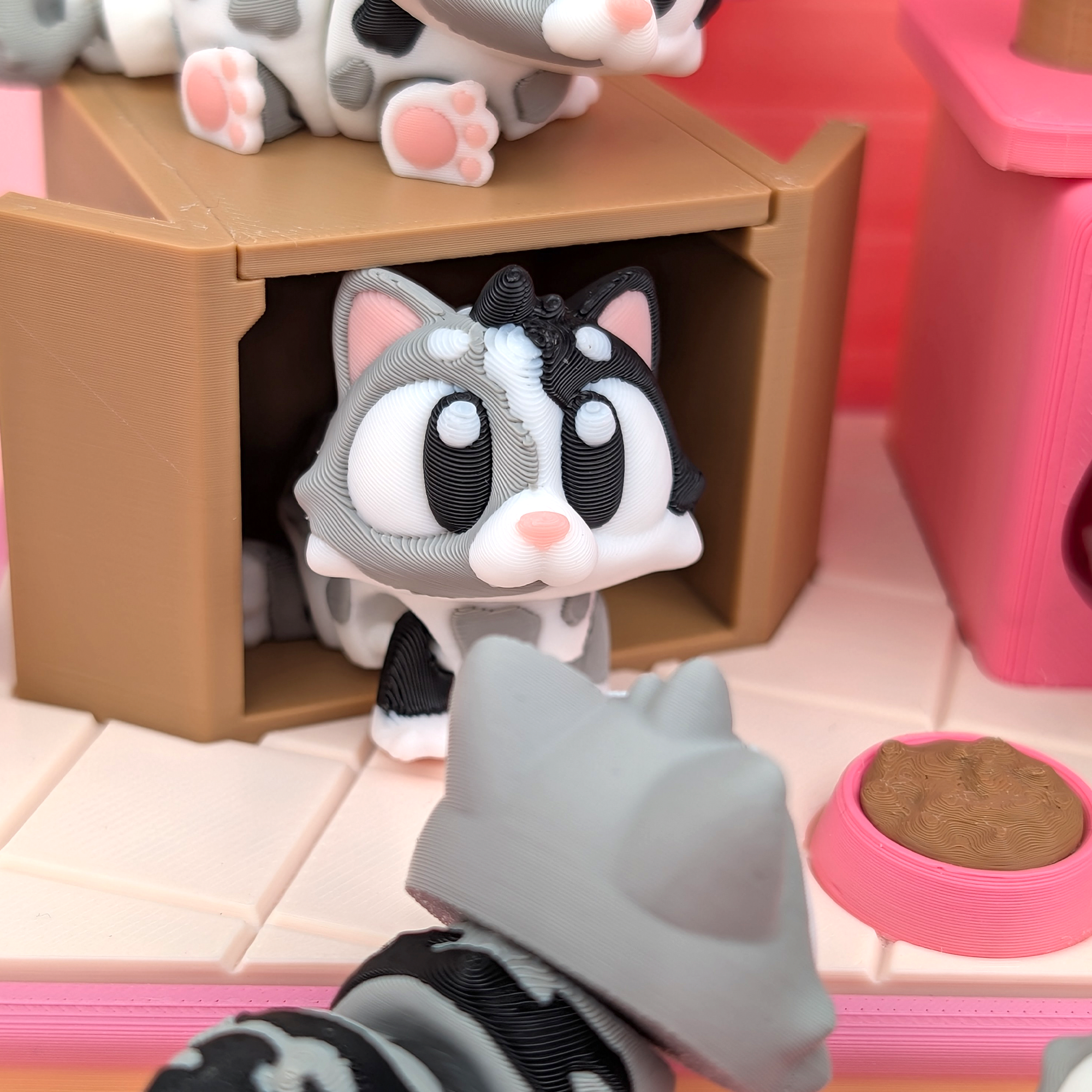Cat and Habitat