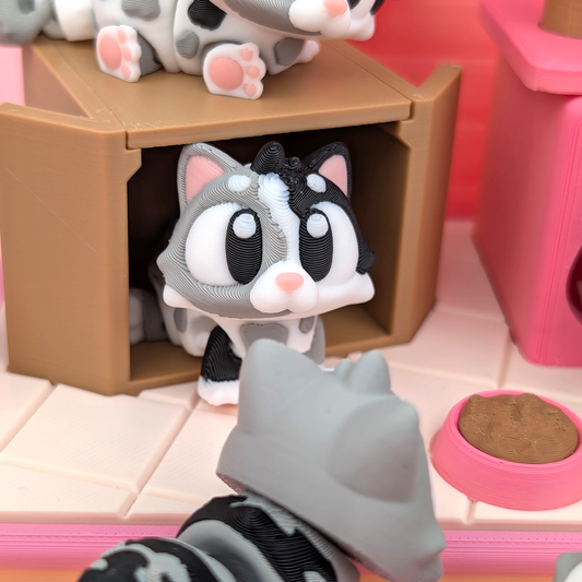 Cat and Habitat