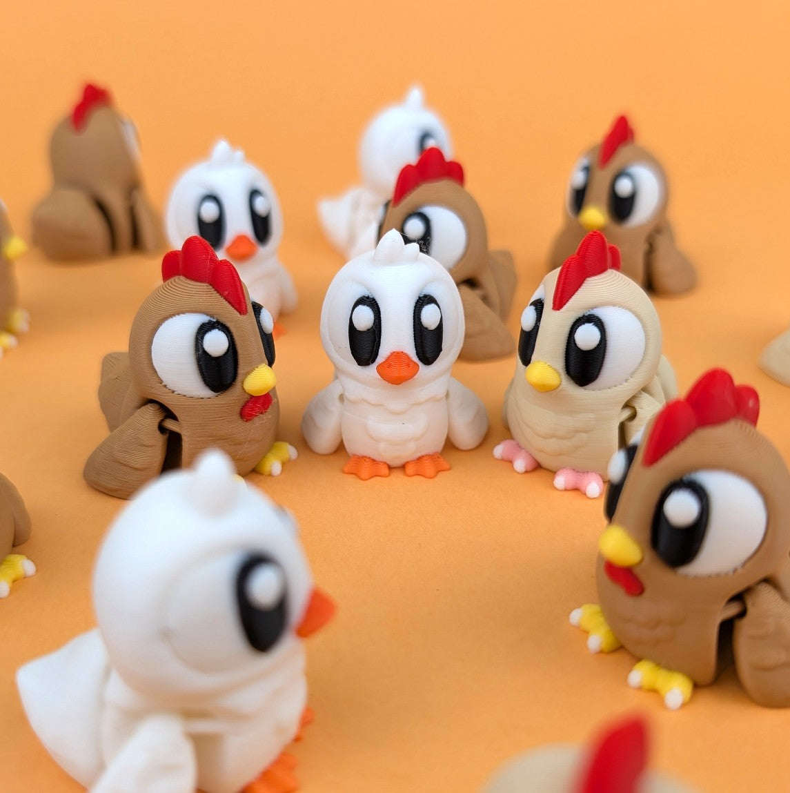 Chicken & Duck with Barn Showcase