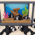 Load image into Gallery viewer, Killer Whale
