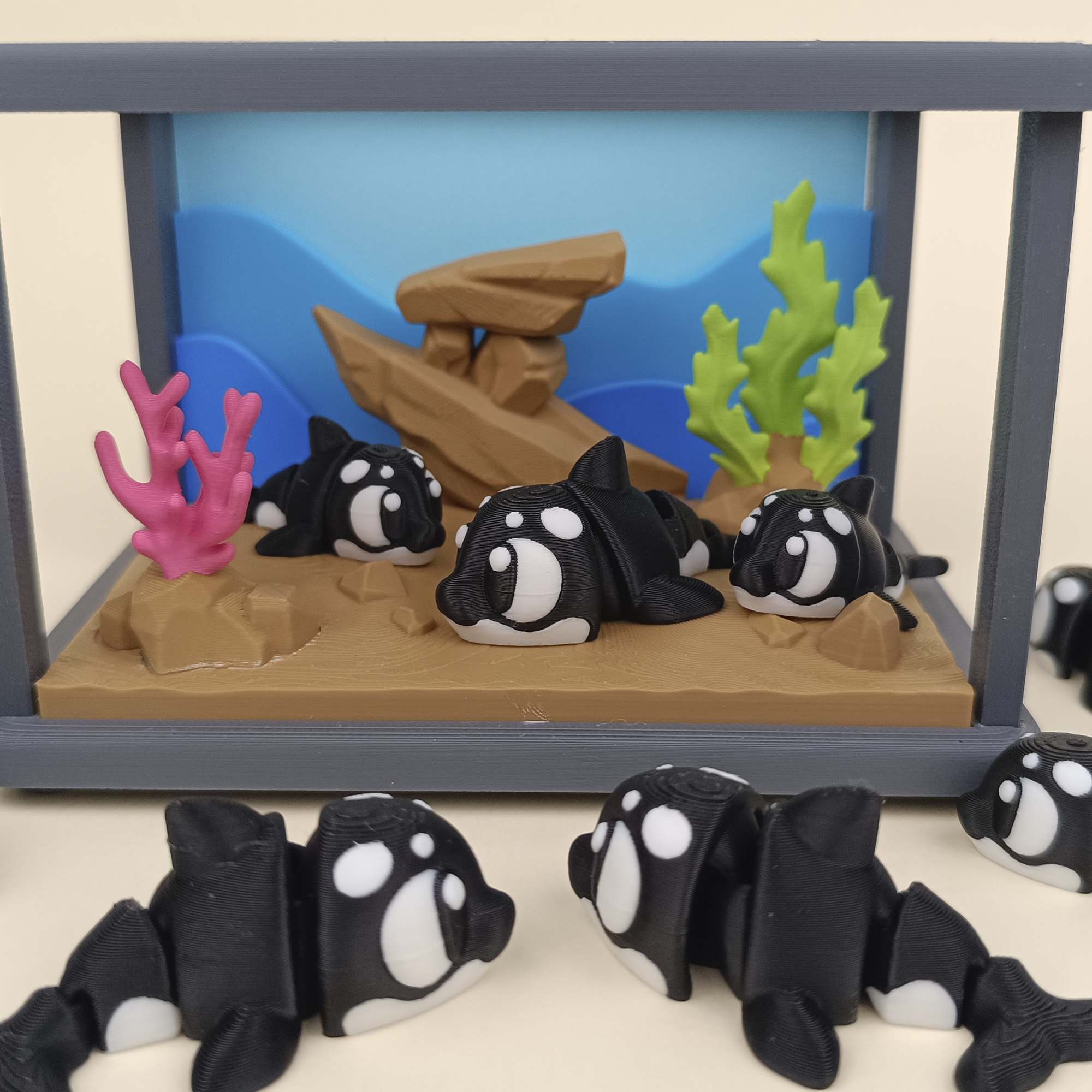 Killer Whale