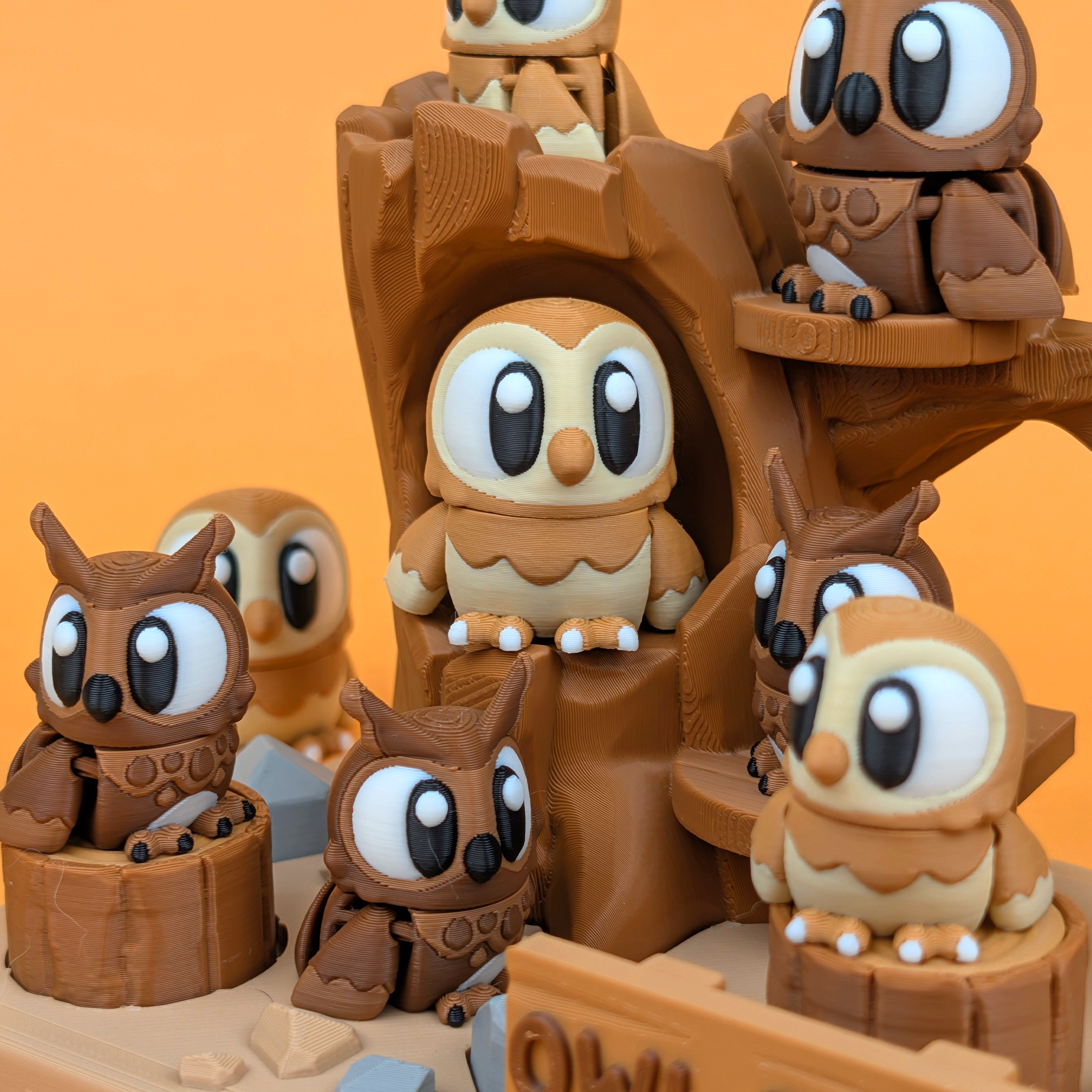 Owl and Habitat