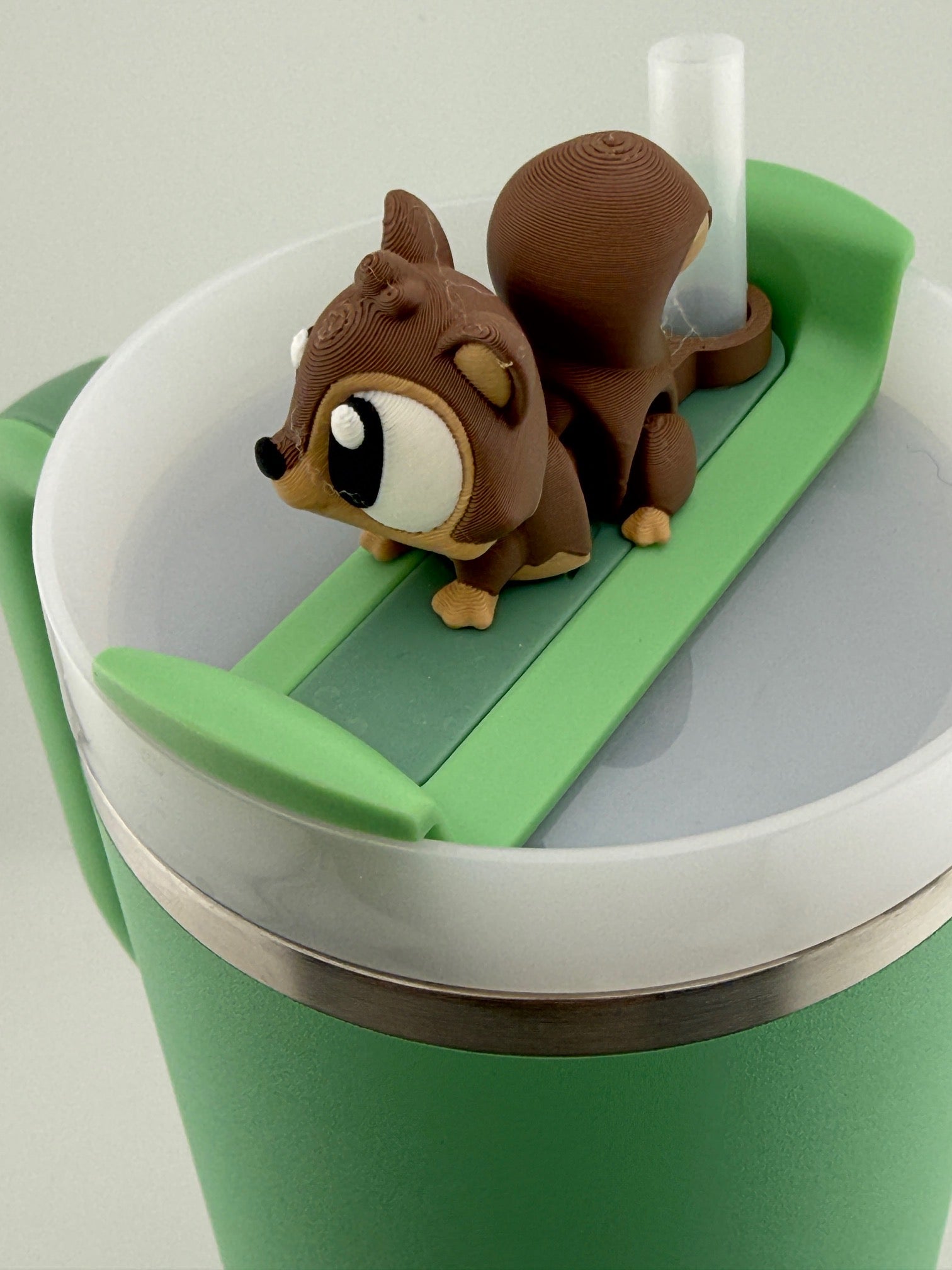 Squirrel