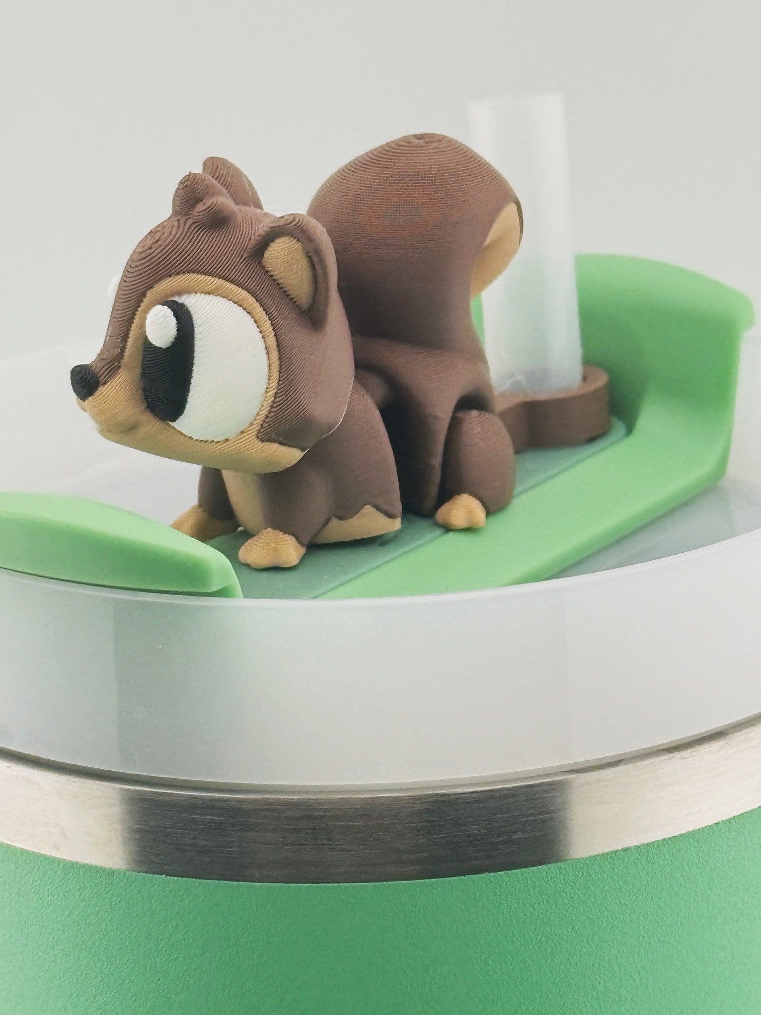Squirrel
