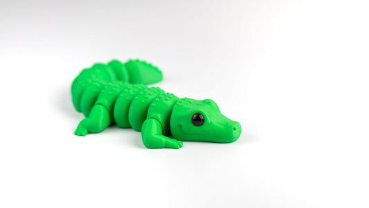 Alligator