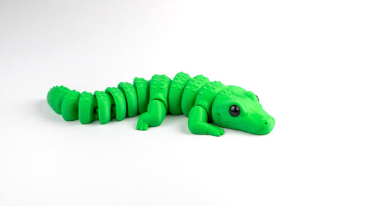 Alligator