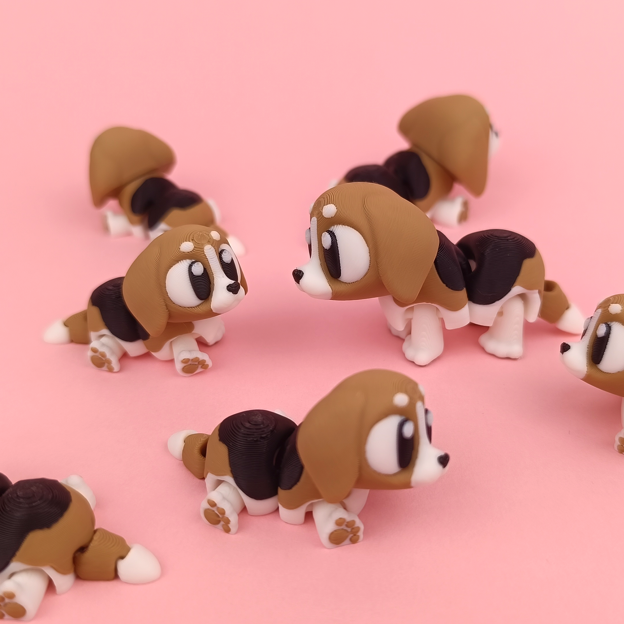Beagle